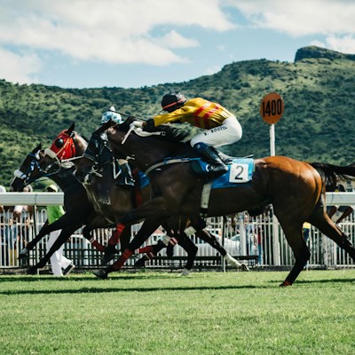 LIVE FOR RACING 